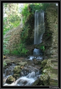 cascade jardin plante